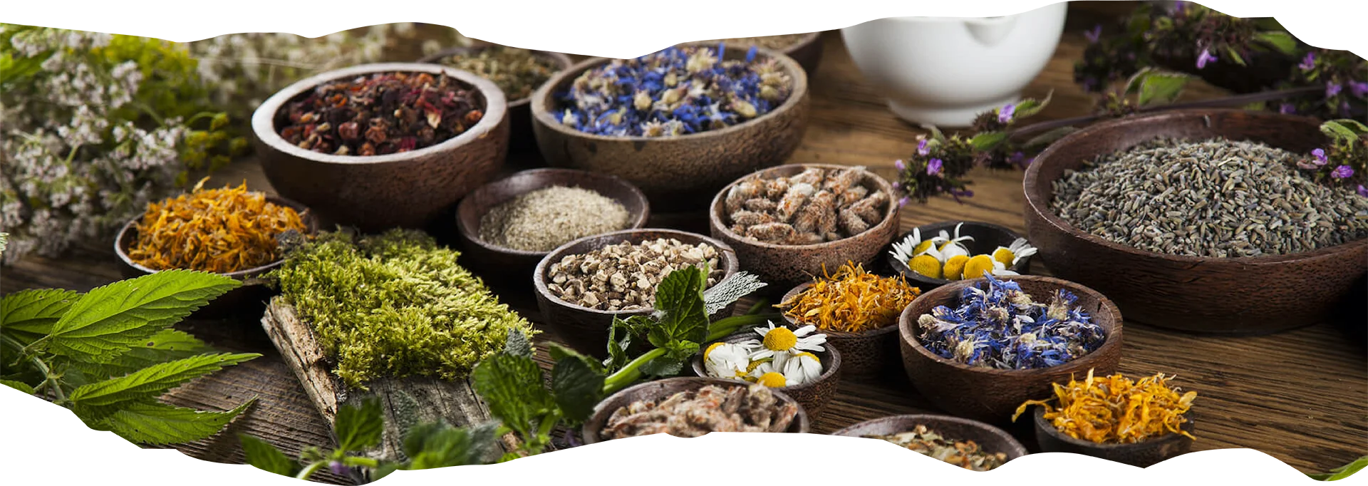 Ảnh chính đối tác